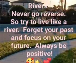 FB_VID_6649508579115210127(1)